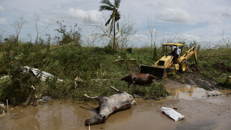 Foto: AP